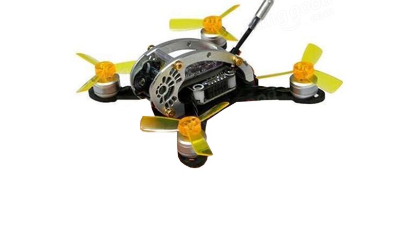 Kingkong Fly Egg 100