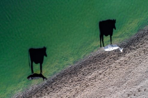 DJI 0052 4 1200x800