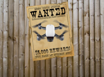 wanted sparkl 1