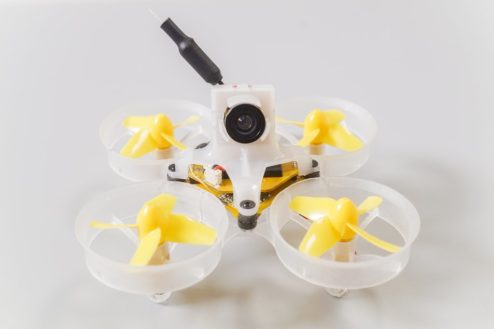 beebrainv2 kitmonte 01