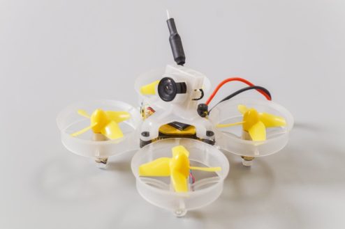 beebrainv2 kitmonte 02