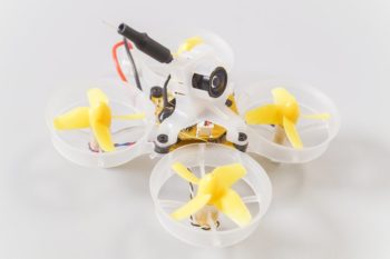 beebrainv2 kitmonte 05