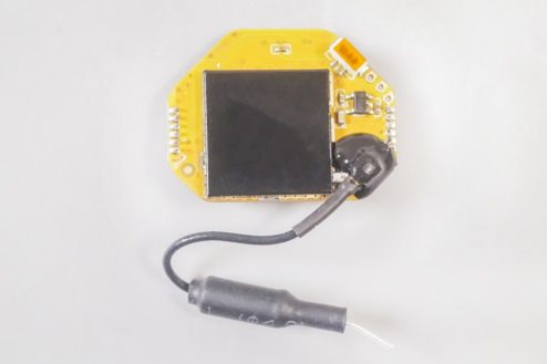 beebrainv2 vtx 03