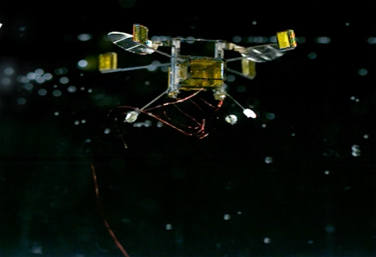 Hybrid RoboBee, le micro drone sous l’eau et en l’air !