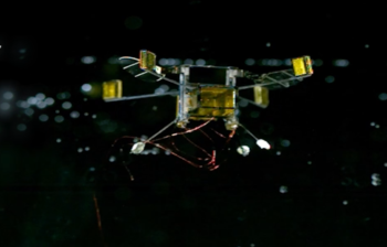 hybrid robobee 01