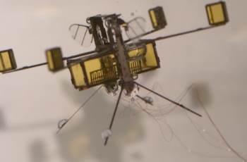 hybrid robobee 02