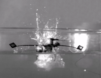 hybrid robobee 03