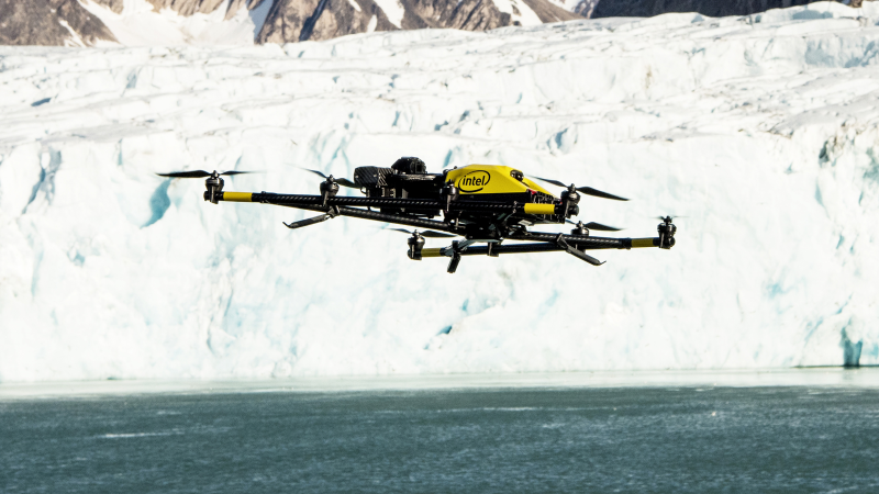 Intel, les ours polaires et les baleines