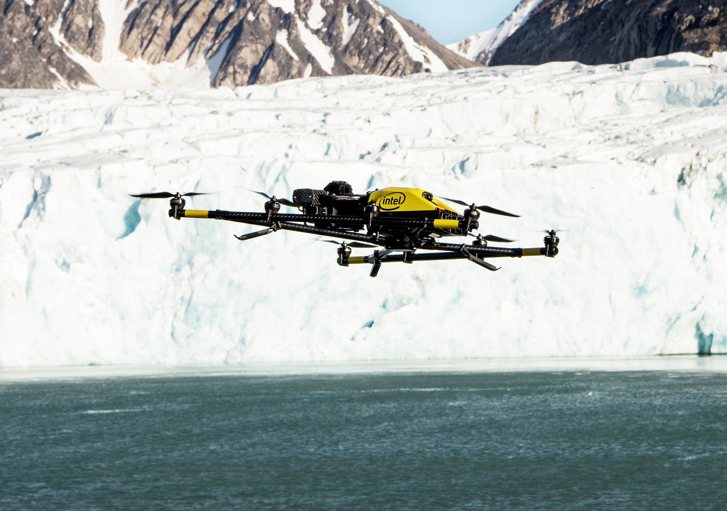 Intel, les ours polaires et les baleines