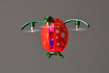 DSC 0234 1200