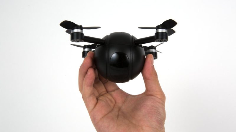 Pitta, la boule volante