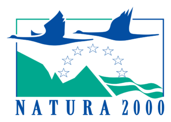 Natura 2000 logo low