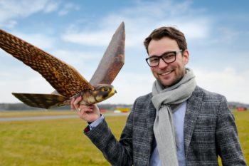 robirds 01