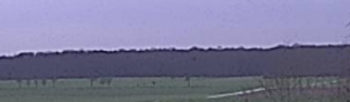 C-Fly Obtain, le test 22 cfly obtain photo 4 fringing