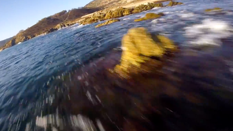 Dom FPV : Against all odds