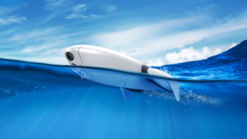 powerDolphin bg2
