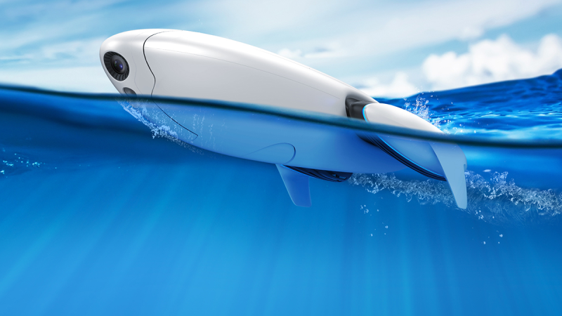 PowerVision PowerDolphin