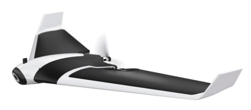 ebay parrot disco 01