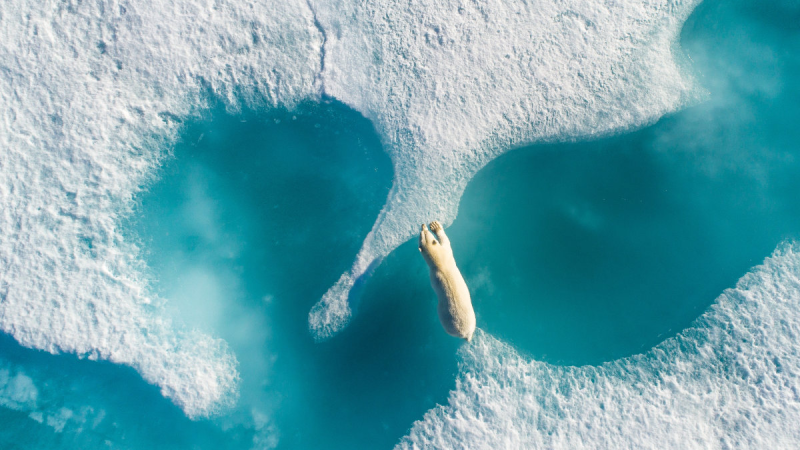 DJI : les résultats du concours photo Skypixel 2017