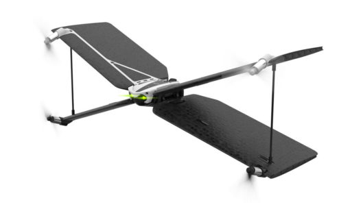parrot swing promo 01