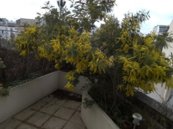 20180305105459