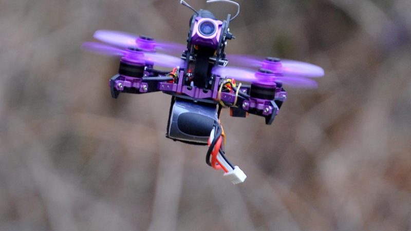 Eachine Lizard 105S, le test