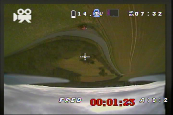 ts215 record