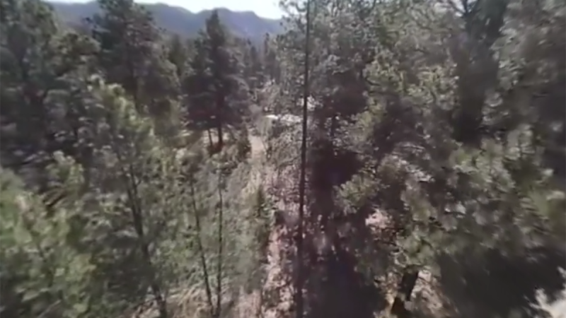 Franky Zapata : le (vrai) tree-riding