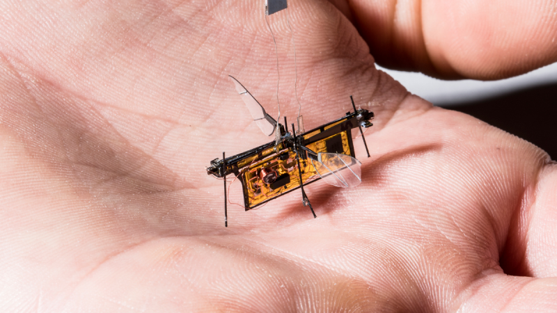RoboFly, un pico drone (presque) autonome