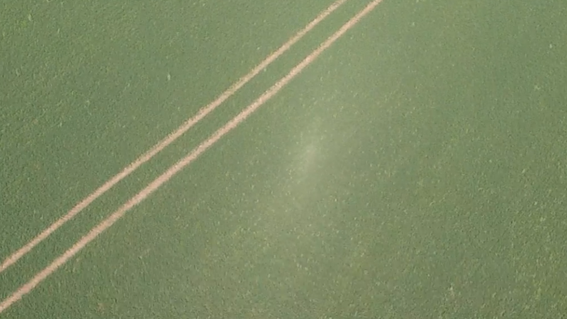 Halo blanc au sol : explication de l&rsquo;effet Heiligenschein