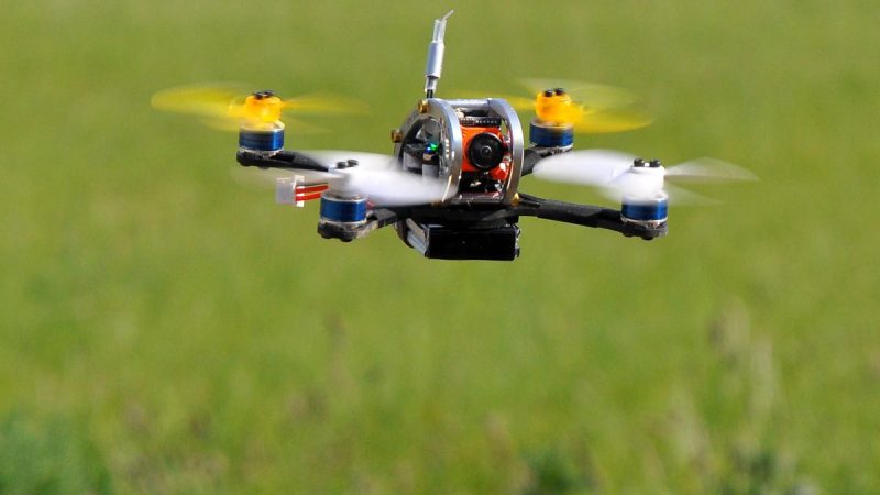 LDARC FPV Egg 136mm, le test