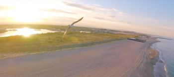 davidaspen bird