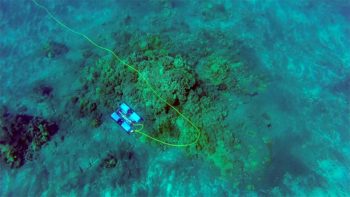 Rov inspection
