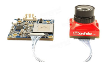 caddx turtles 02