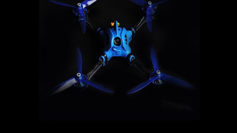Zigogne Shockwave