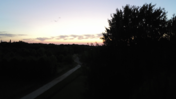 volnuit
