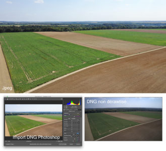 jpeg vs DNG