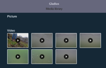 gladius mini capt 01a