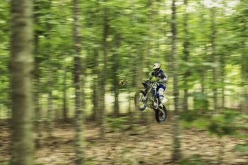 redbull pages panaiva 14