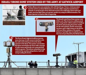 gatwick arrestations 03