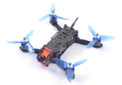 skystars babyturtle 145 02