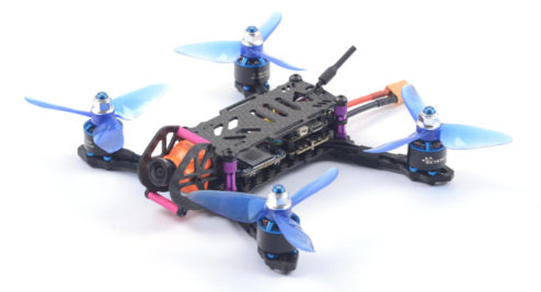 skystars babyturtle 145 03