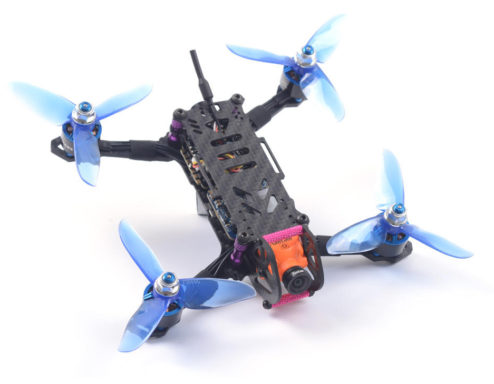 skystars babyturtle 145 07