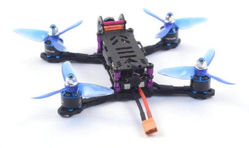 skystars babyturtle 145 08