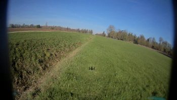 foxeer mix extrait 03