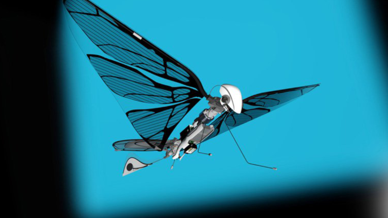 MetaFly