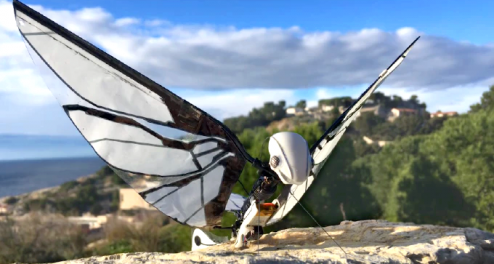 metafly kick 01
