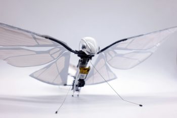 metafly kick 02