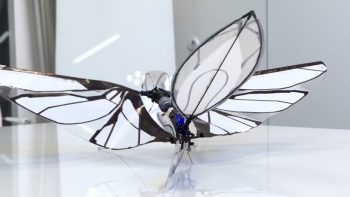 metafly kick 05