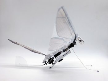 metafly kick 06